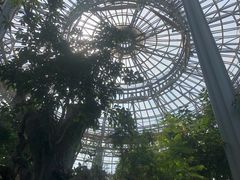 -郑州植物园