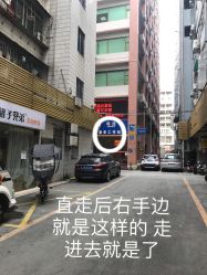 -KISS U 国际美学