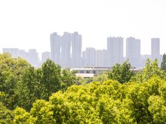 -西湖风景区-江洋畈生态公园