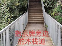 -博山九龙峪风景区