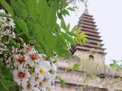 -北京石刻艺术博物馆(五塔寺)
