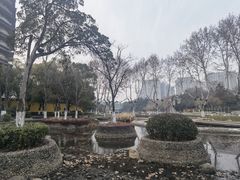-红梅公园