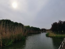 点击看大图 -水八仙生态园