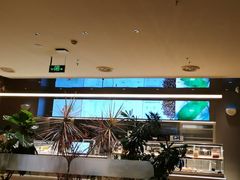 -Bco豆库(星耀天地店)