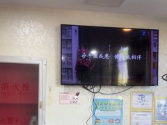 -宠爱国际动物医院·消化内科·心肾内科·ISFM猫友好(望京店)