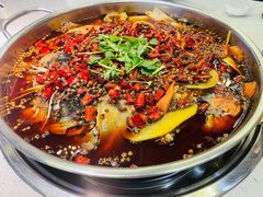 美蛙鱼头-味之绝美蛙鱼头火锅(高新店)