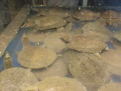 -尚宴牛特鲜自助(太原街万达店)
