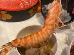 -鲜入围煮花胶鸡海鲜火锅