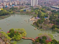 -圩墩遗址公园