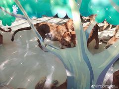 -大连森林动物园