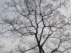 -昆山城市生态森林公园