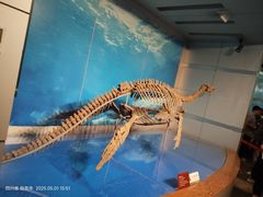 -自贡恐龙博物馆