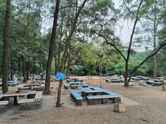 -南宁良凤江国家森林公园