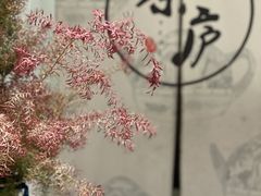 -茶庐(百花洲路店)