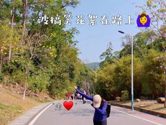 -火炉山森林公园