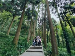 -青城山