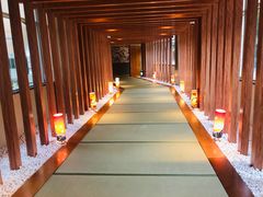 -重庆南山海昌汤都