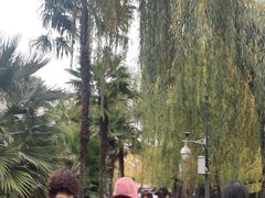 -MAP CHA普洱茶馆(翠湖店)