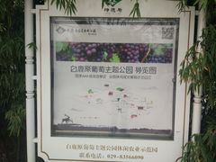 -白鹿原葡萄主题公园