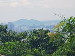 -火炉山森林公园