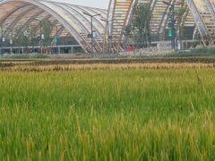 -中国天府农业博览园