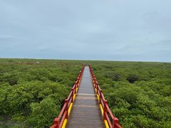 -北海金海湾红树林生态旅游区