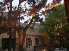 -海草馆自助餐厅(悦海店)