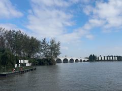 -溱湖国家湿地公园