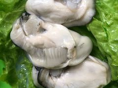 -蚝专家