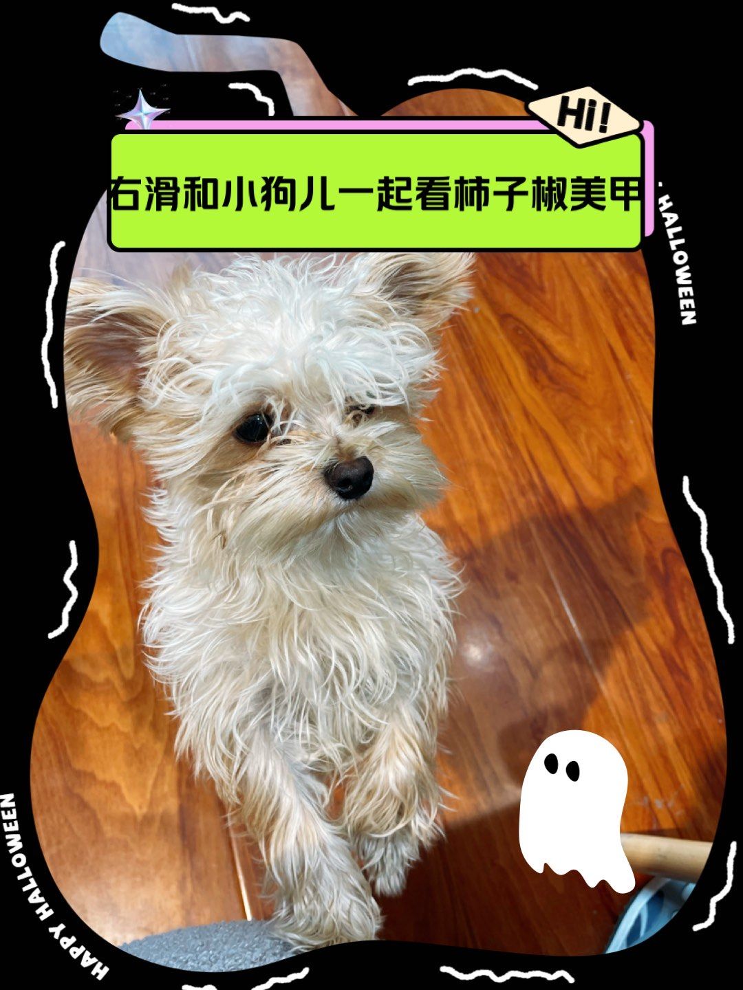 右滑7915和小狗一起观看柿子椒美甲