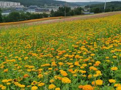 -帽儿山国家森林公园