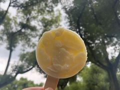 -苏州上方山国家森林公园