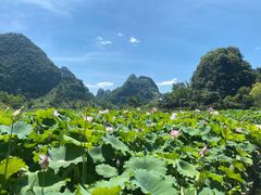 -靖西鹅泉风景区
