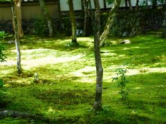 -西芳寺(苔寺)