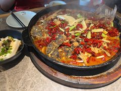 -老板恋上鱼(恒隆广场店)