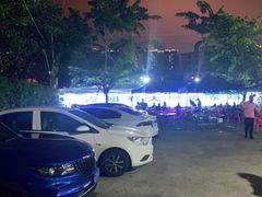 -霞姐屯昌枫木香草鸭店(海螺店)