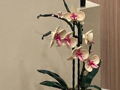 -Again Coffee Roaster(香蜜湖店)