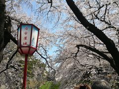 -名古屋城