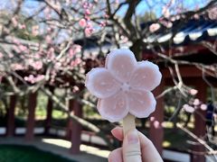 -梅花山(明孝陵内)