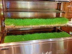自助取餐区-蜀大侠火锅(四川北路店)