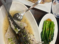 -金騰閣·经典粤菜(汾江中路店)