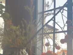 -滇野云南野生菌餐厅(陕西南路店)