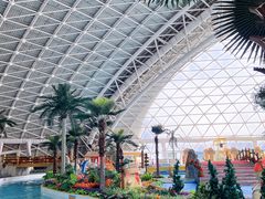 -天山海世界·米立方