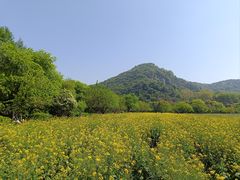 -八卦田遗址公园