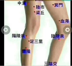 -香薇妮丝·定制减肥·身材管理