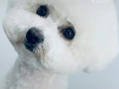 -太原东方动物医院(小店分院)