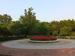 -嘉定紫藤园