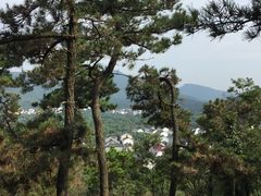 -香雪海