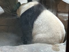 -宁波野生动物园