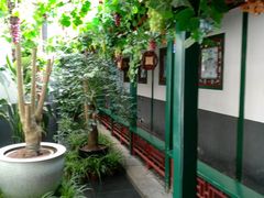 -楚畹园